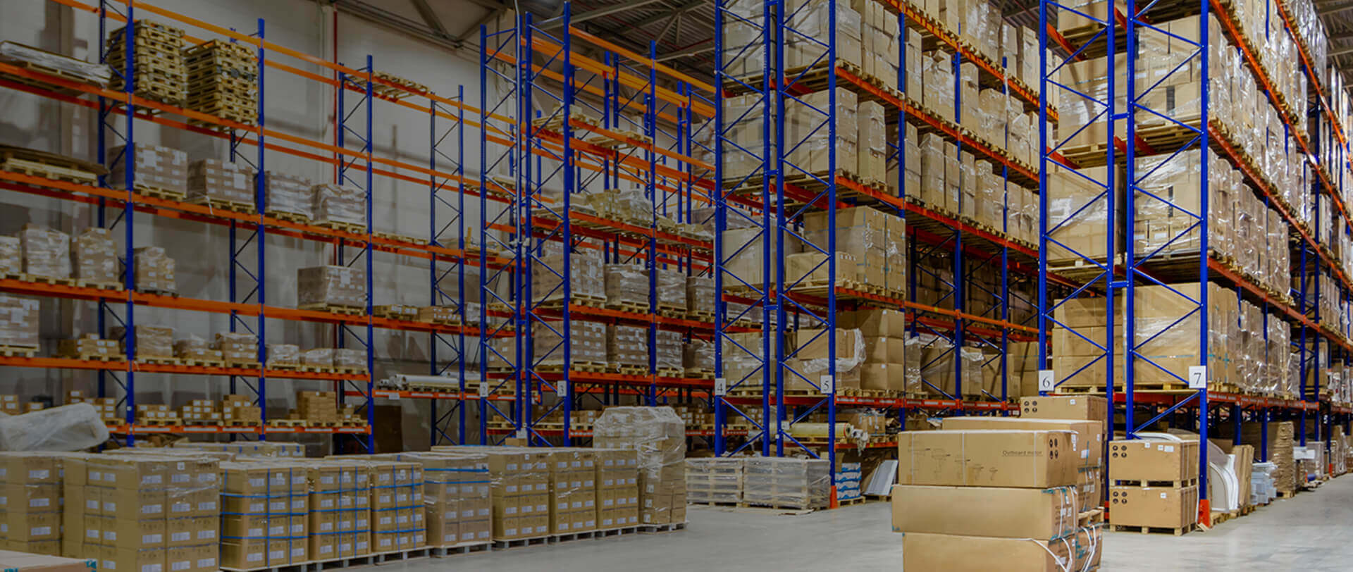 Warehouse Management